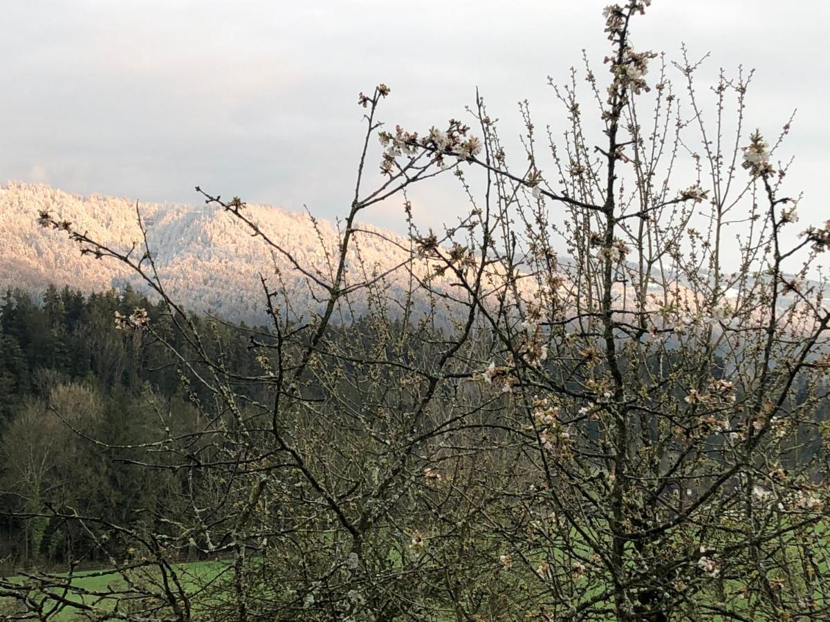 Ferienwohnung Samys Nahe Lindau Am Bodensee Sigmarszell Buitenkant foto